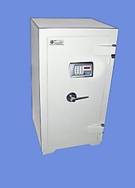 004TYVE Elektronik Kasa 75*50*45 250Kg ( 750€ )